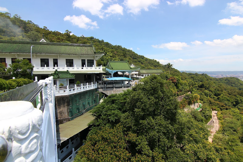 【新北 土城】承天禪寺與桐花步道