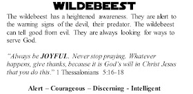 1 Thessalonians 5:16-18 Wildebeest