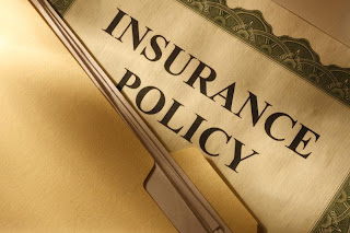 Basic homeowner's insurance policy