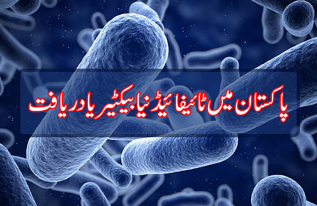 New Type of Typhoid Bacteria Introduced in Pakistan