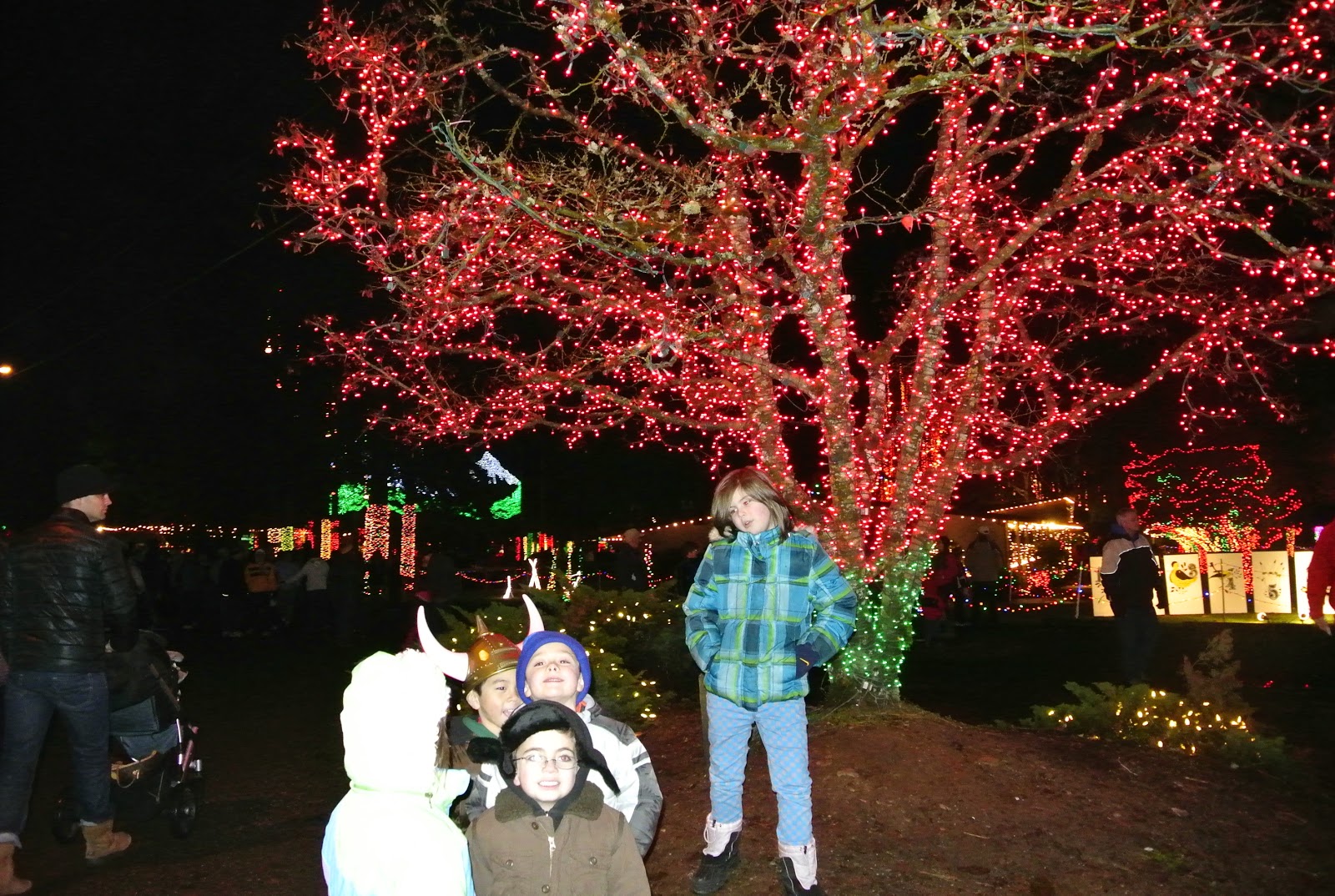 Bubu in Belltown Warm Beach Christmas Lights