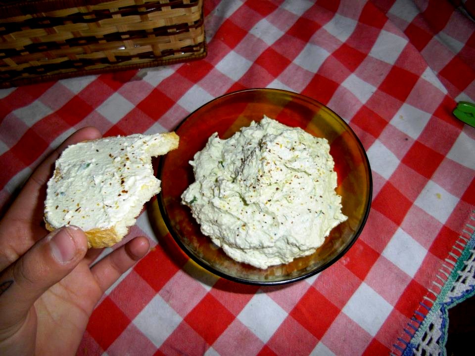 Everything Vegan Queijo de Tofu