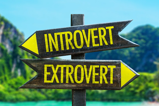 Екстраверти та інтроверти