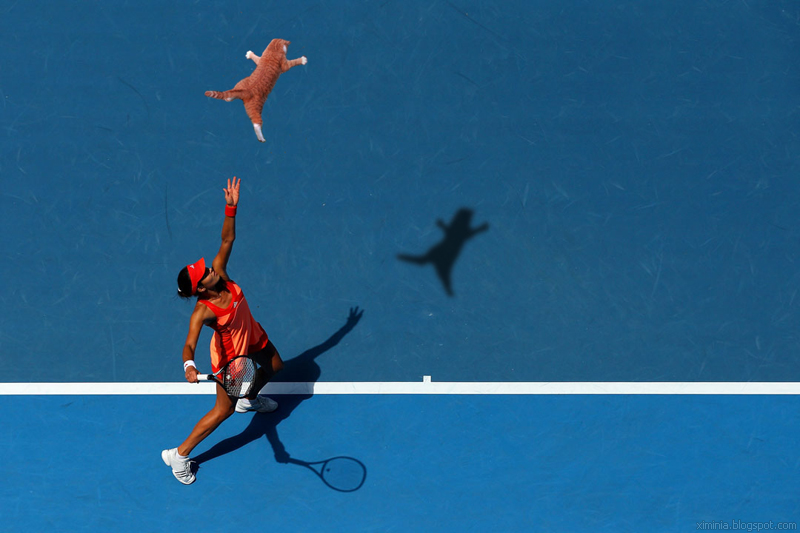 ana-ivanovic-saque-pelota-gato-lol-cat-raqueta-racket-match-point-tennis-tenista-tenis-player-jugadora-sexy-ximinia-blog-chica-girl-minifalda-mini-skirt-cancha-abierto-australia-open-torneo-wta-humor-maltrato-animal-gatito-aire-volando-felino.jpg