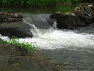 Palasdhari pond waterfall