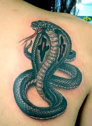 3D Snakes Tattoo on Upper Back