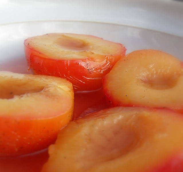 Vanilla Poached Plums