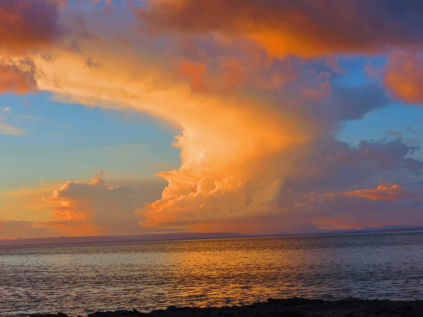 Gray Whales of San Ignacio Lagoon Guide Report San Ignacio Lagoon