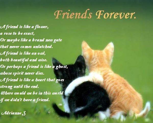 Day Celebration: Friendship Day Famous Poems