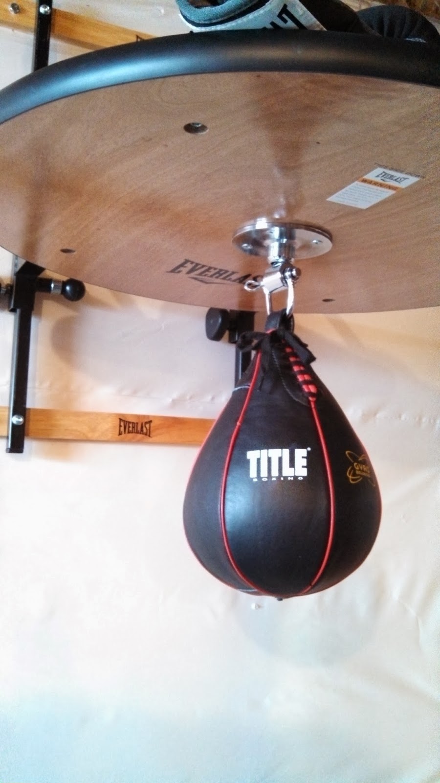 Everlast Punching Bag: Heavy Bag and Speed Bag | Penny Pincher Journal