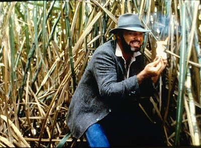 Stick 1985 Burt Reynolds Image 1