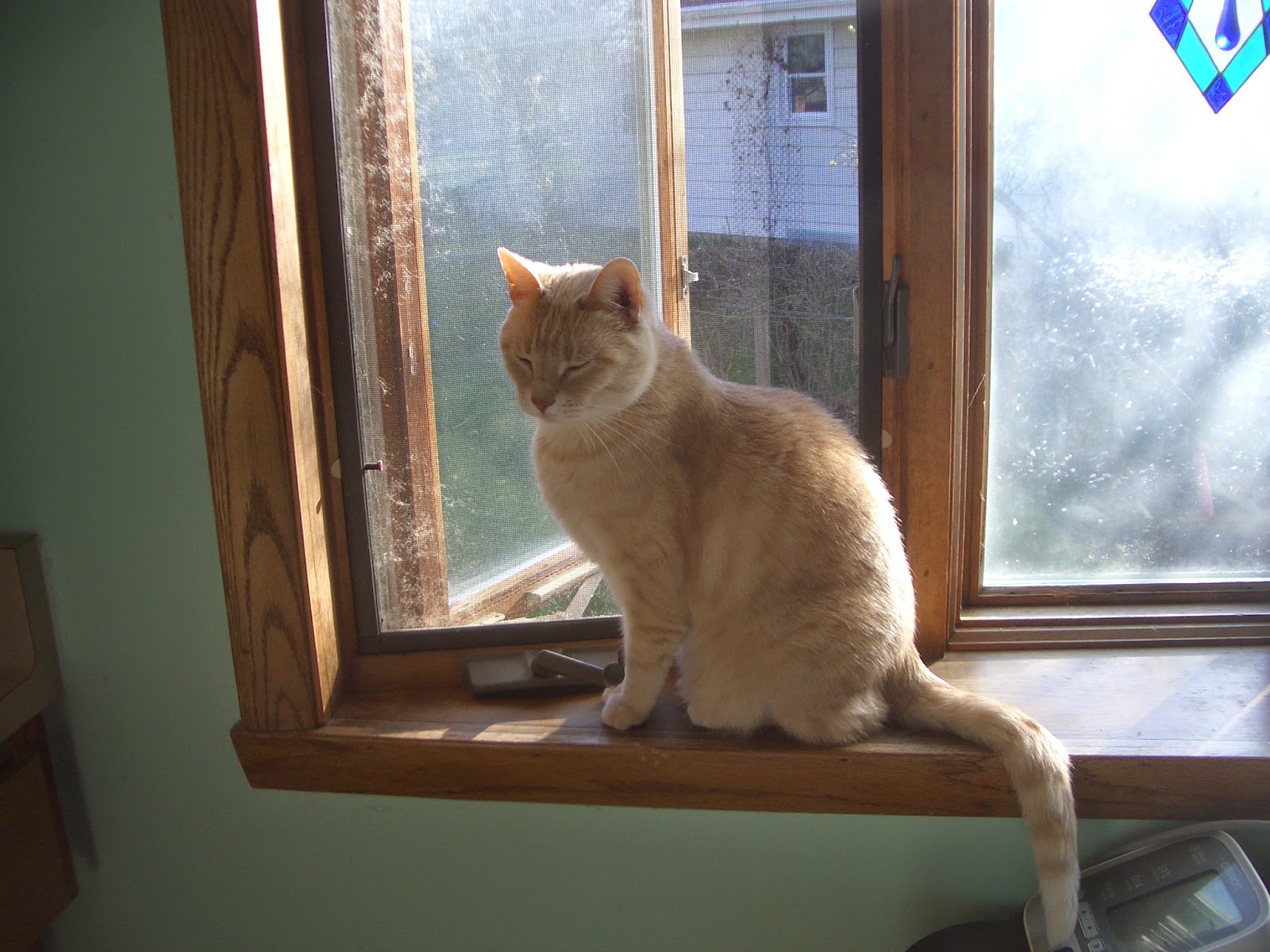 JUST DUCKY! April 2015