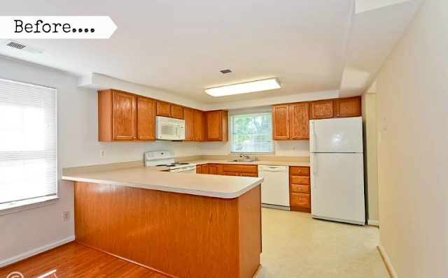 Getting Rid Of Moths In Kitchen Cabinets Getting Rid Of Moths In Kitchen Cabinets