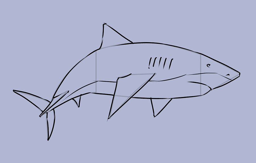 Top rộng lớn 51 về vẽ hình cá hoặc nhất  Du học tập Akina