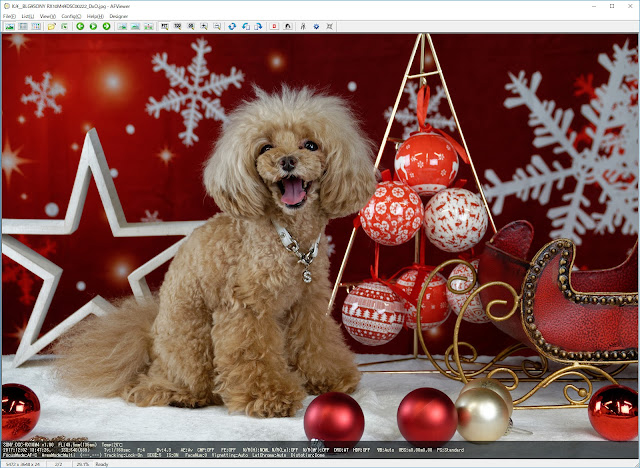 SONY DSC-RX10M4 49.5mm(135mm) ISO:640 F:4 Tv:1/160s