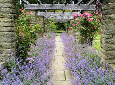 Purple borders and climbing roses alongside a path