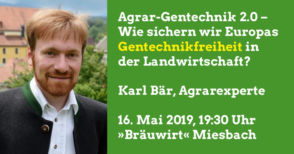 Grünes Holzkirchen Blog der Gemeinderatsfraktion Bündnis 90 / Die