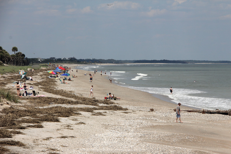 "Live Life Like it's a Vacation" Edisto Beachcute little South