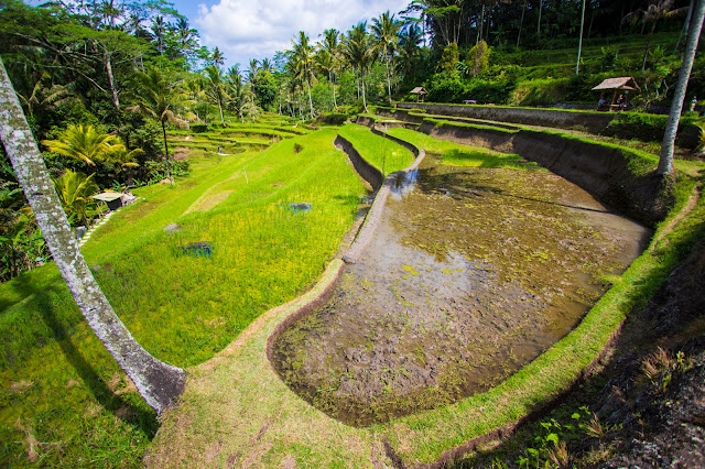 Tombe reali del Pura Gunubg Kawi a Tampaksiring-Bali