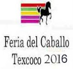 LA FERIA DEL CABALLO