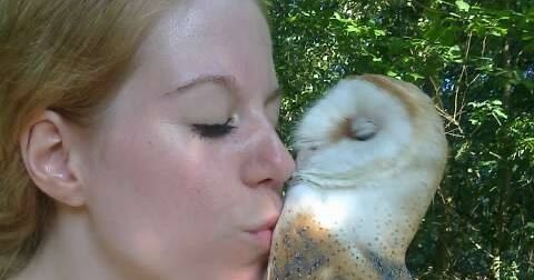 cuddle barn owl