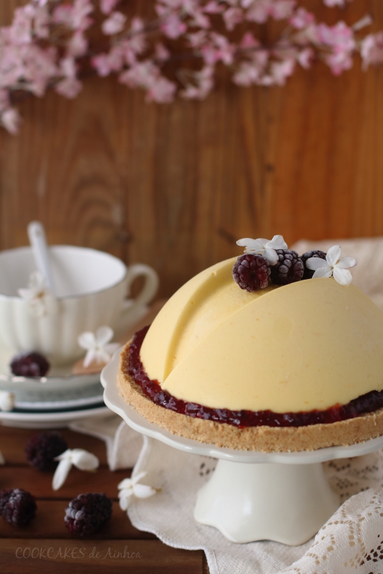 Tarta Mousse de Mango y Mora (sin horno)