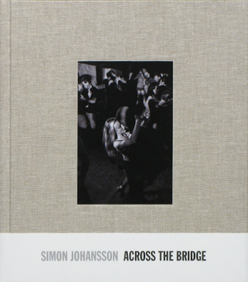 Rachel permuth levine dissertation image