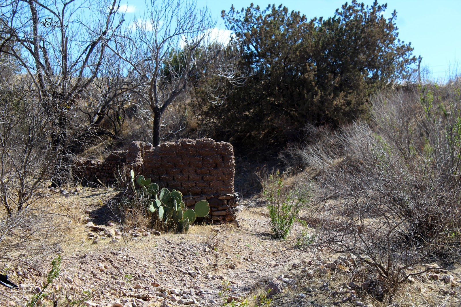LUGARES MAGICOS GRAN MORELOS, CHIHUAHUA.