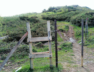 Senda de bajada a la Orconera Senda de bajada a la Orconera