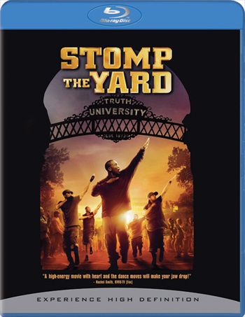 Stomp The Yard 2007 BRRip 350MB Dual Audio Download 480p
