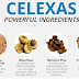 Get Longer And Firmer Erections With Celexas Male Enhancement