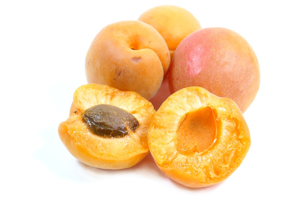 8 BUAH PENURUN KADAR GULA DALAM DARAH (DIABETES) - INFOSHARE13