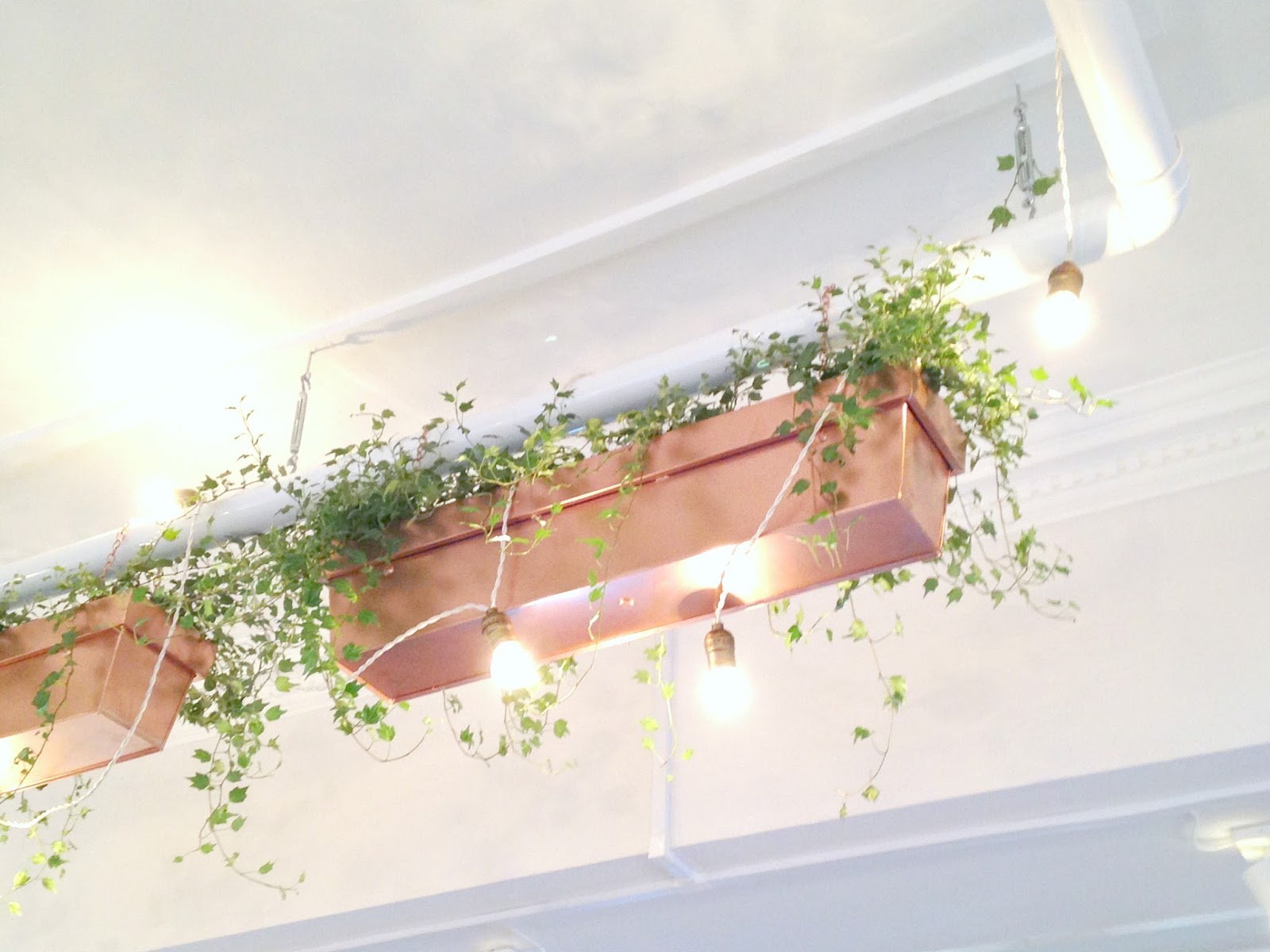 copper planters and greens chic interiors scandi style cafe and cake shop
