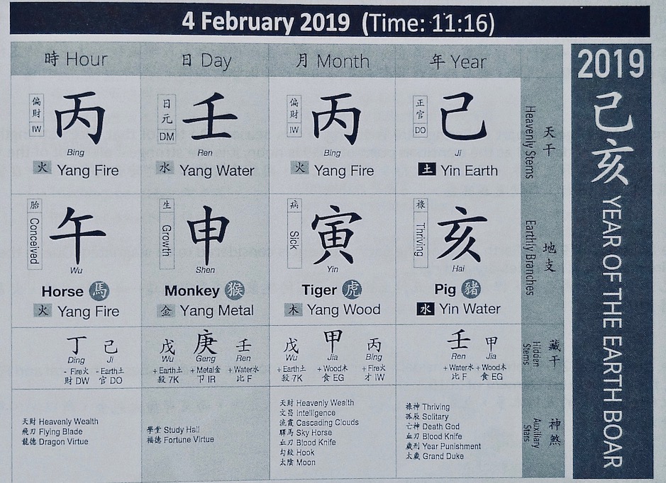 Joey Yap Destiny Chart