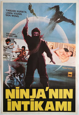 Ninjaânın İntikamı "blogspot.com" ile ilgili görsel sonucu