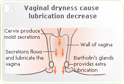 masalah vagina kering