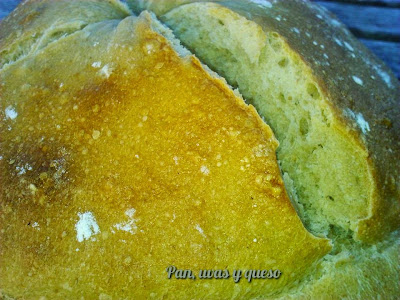 Pan%2Bde%2Bcampo6.jpg