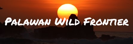 Palawan Wild Frontier Blog Disclaimer