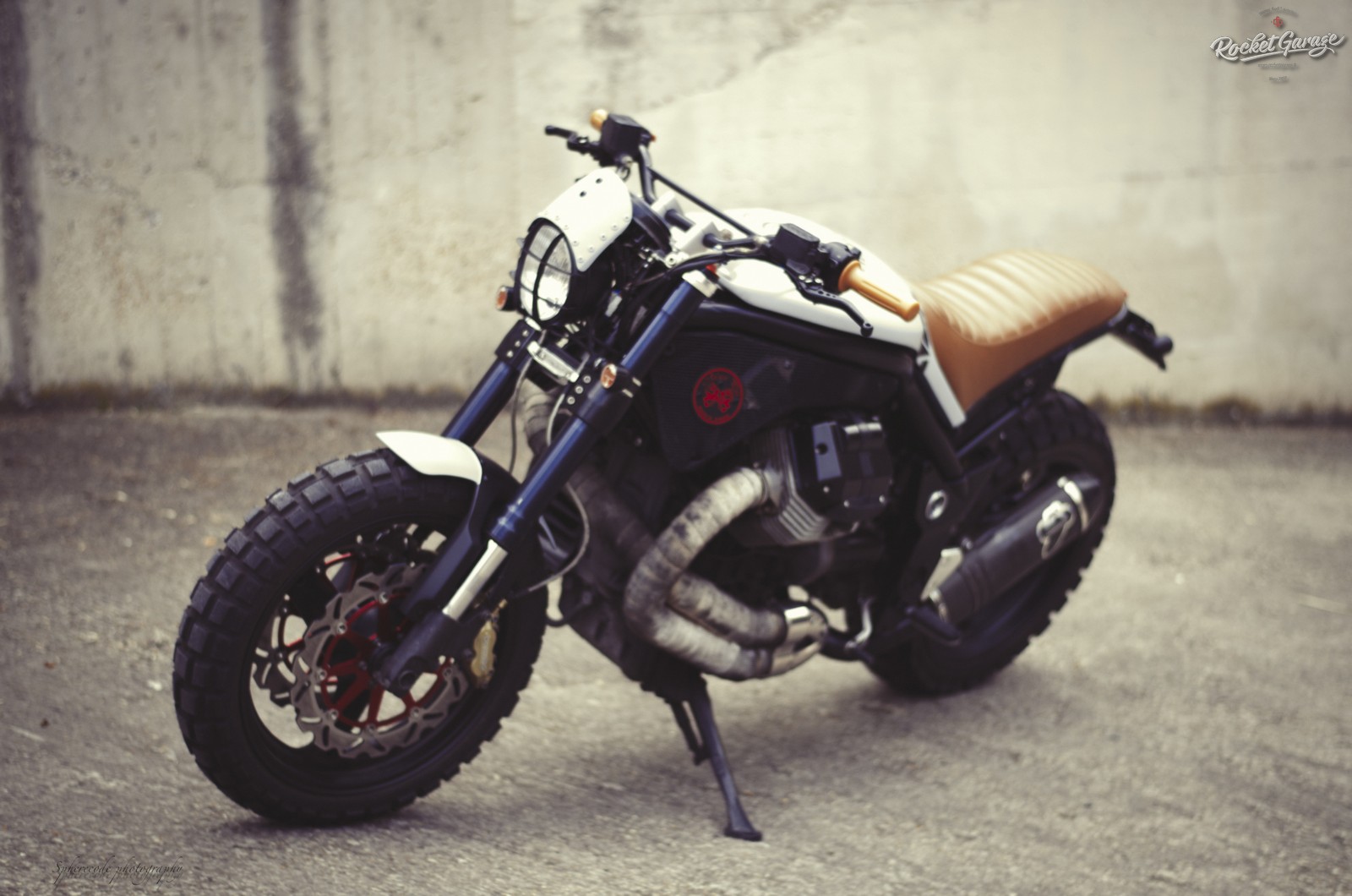 moto guzzi griso scrambler