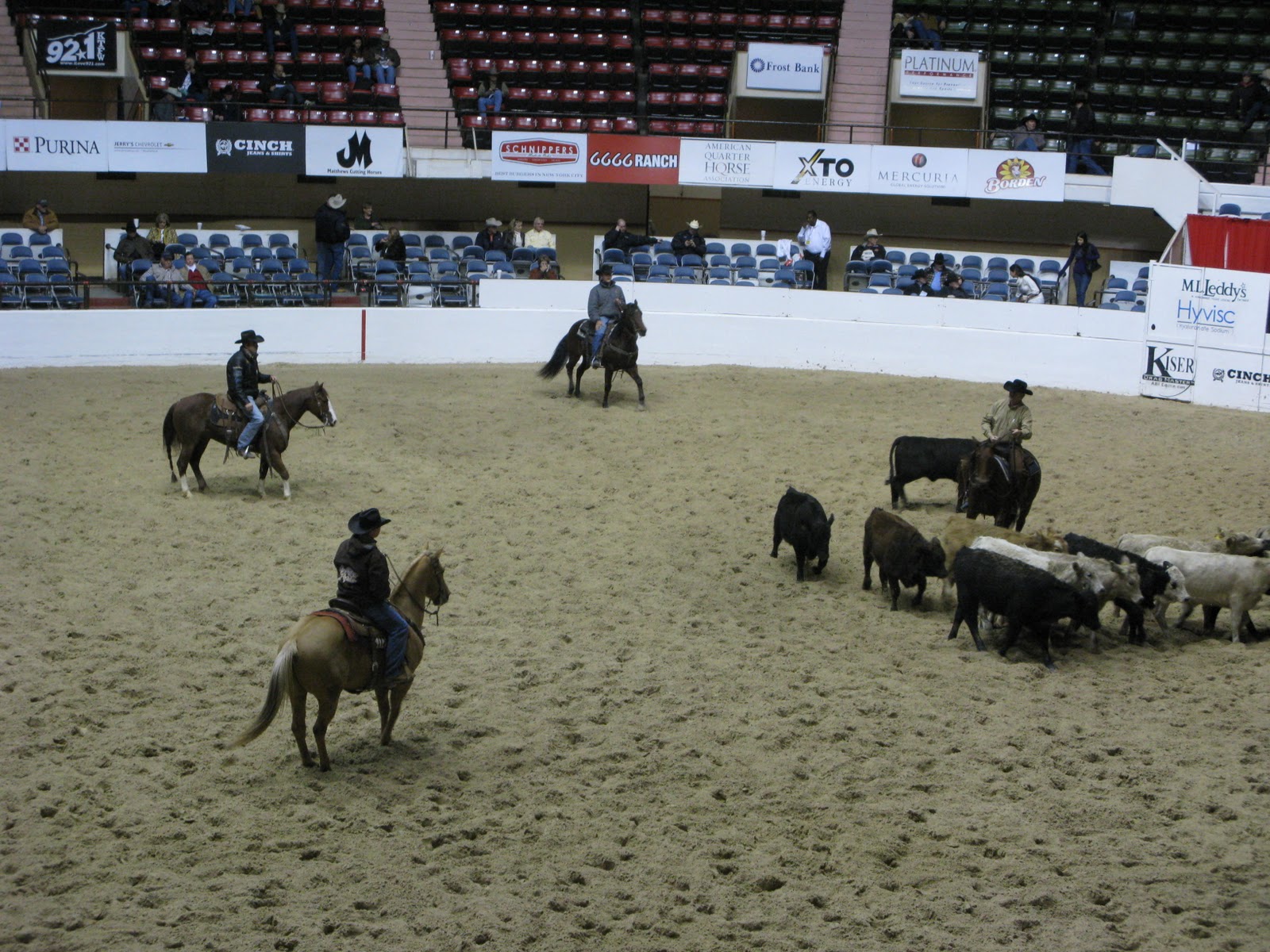 Meandering... NCHA Futurity in Fort Worth
