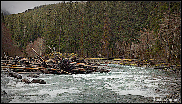 elkhorn elwha