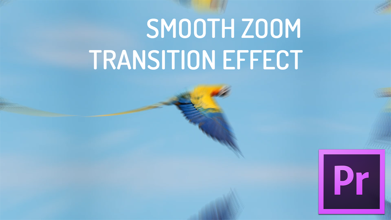 How To Create A Text Zoom Transition Effect In Adobe Premiere Pro Images