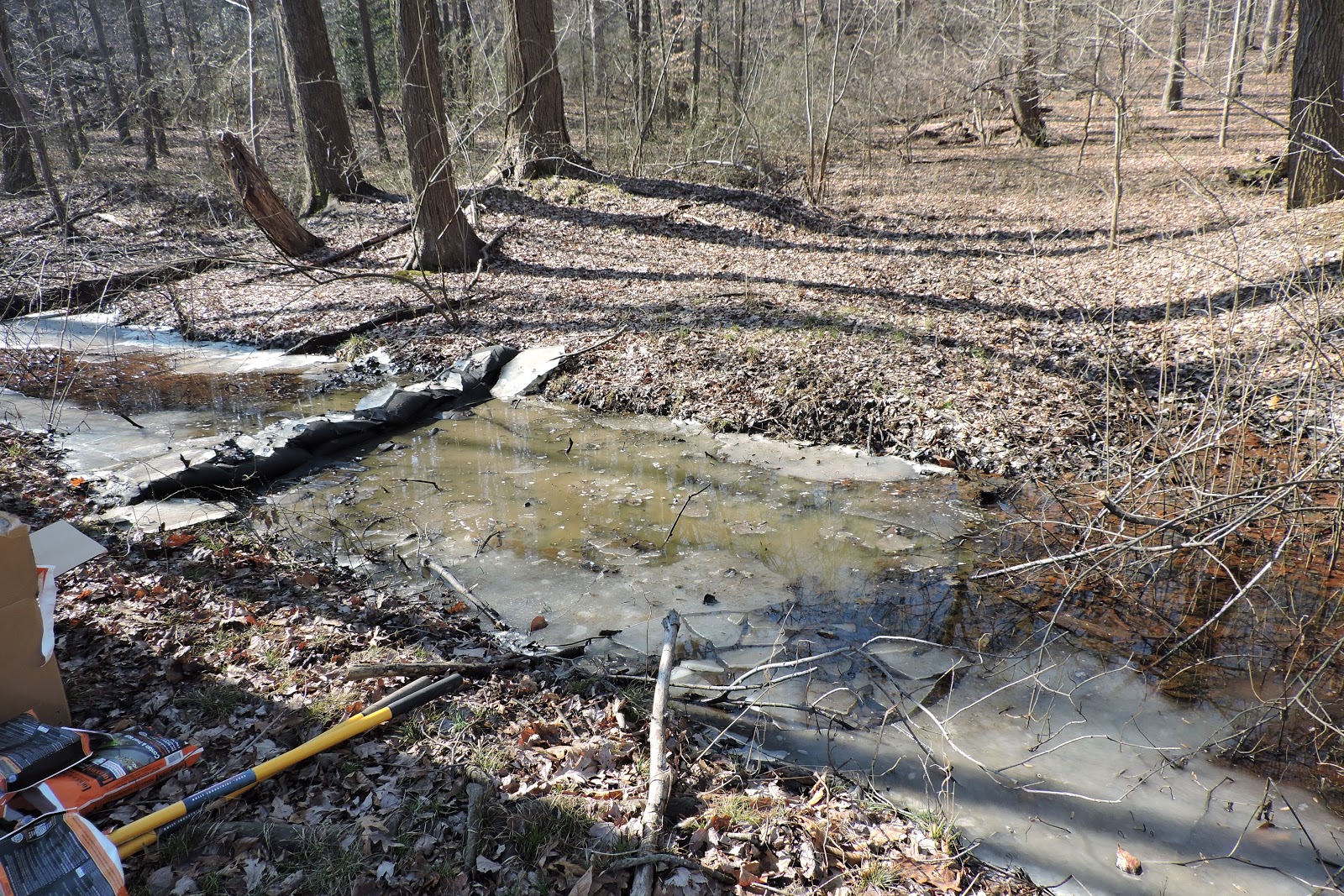 Capital Naturalist by Alonso Abugattas Vernal Pools