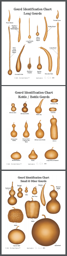 Gourd Identification Chart