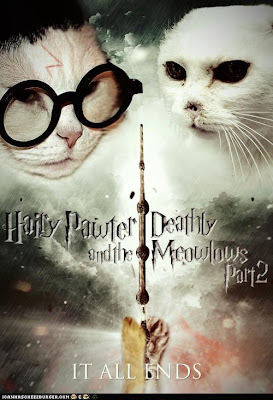 cute%2Bkitten%2Bharry%2Bpotter%2Blolcat%2Bfunny%2Bdeathly%2Bhallows%2Bpart%2B2%2Bparody.jpg