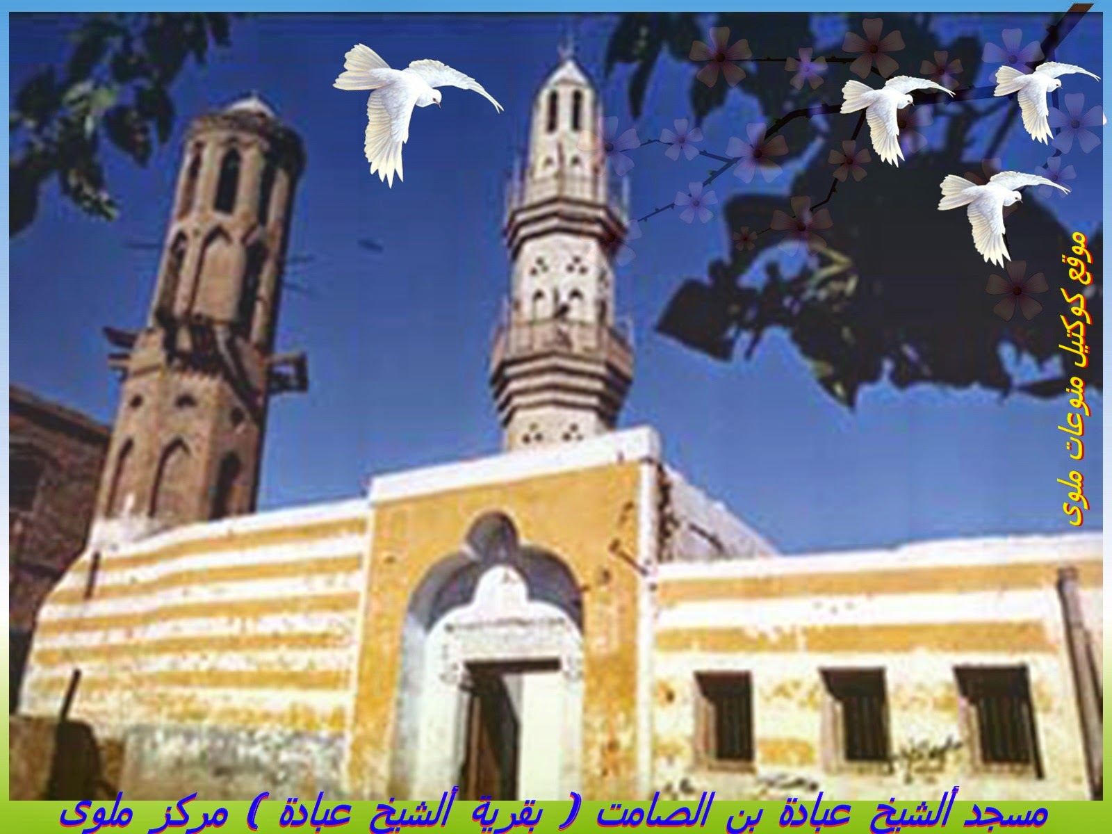 مسجد ألشيخ عبادة بن الصامت بقرية ألشيخ عبادة مركز ملوى