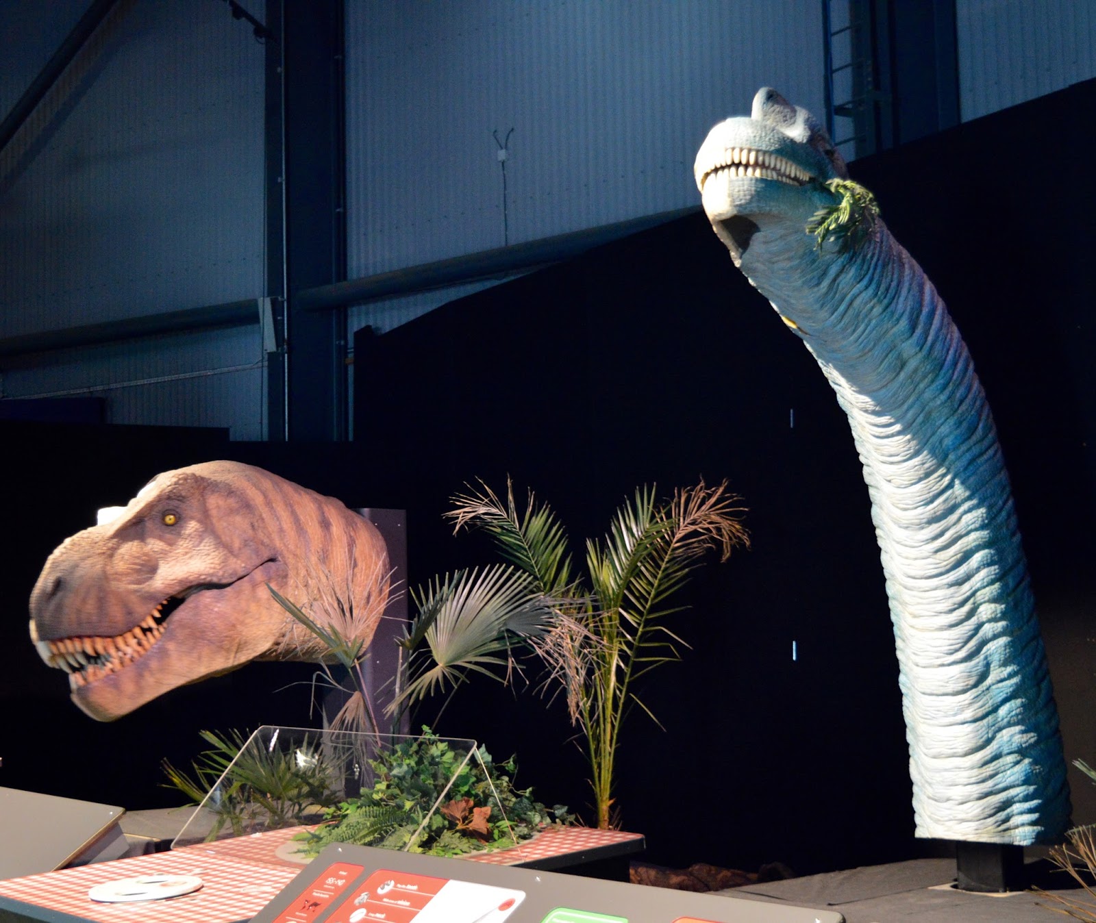 Christmas Events & Ice Skating with Kids in Newcastle at Life Science