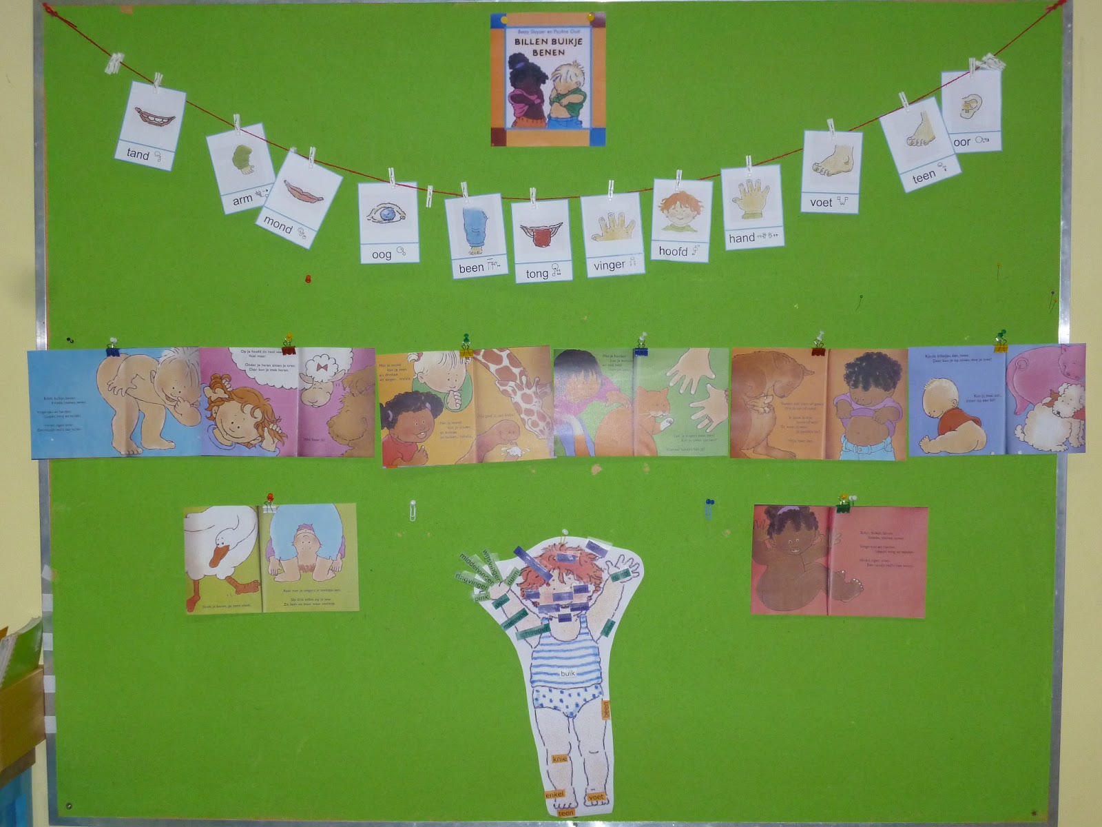 Haasjes: WO-thema: Mijn lichaam