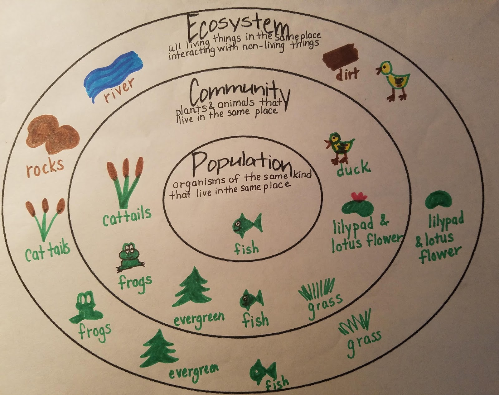 The Third Grade Learning Spot Animal Antics and More!