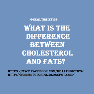 what is the difference between cholesterol and fats